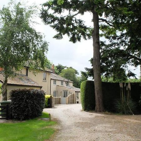 Pippin Heath House B&B Holt  Eksteriør billede
